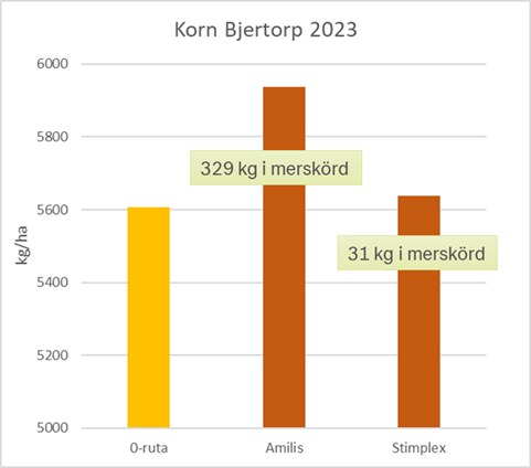 Korn Bjertorp