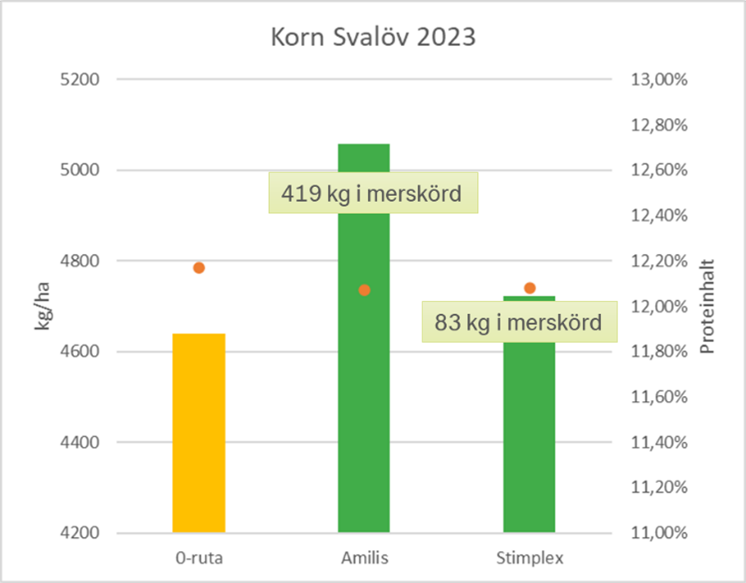Korn Svalöv