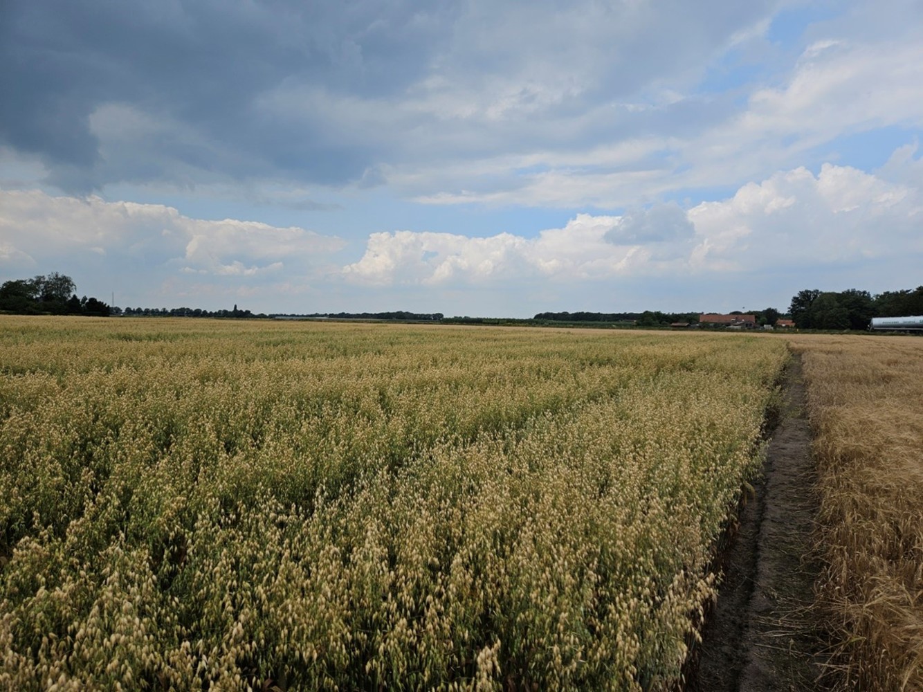 Bild1