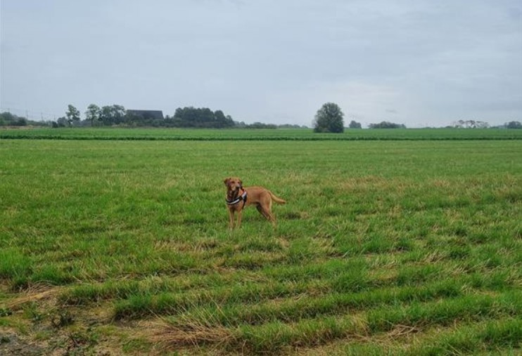 Bild1