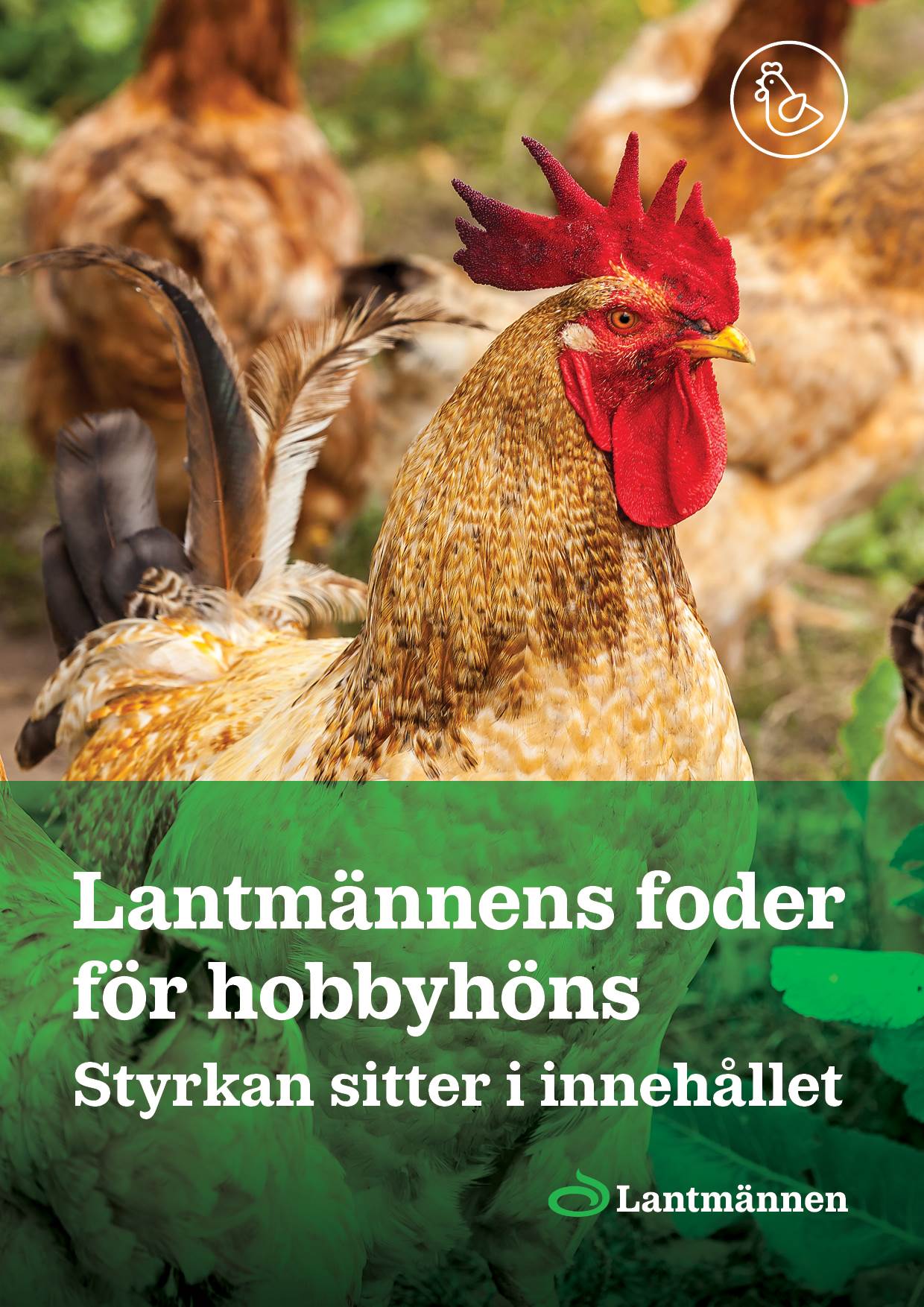 Lantmännens_foder_för_hobbyhöns_2023.pdf