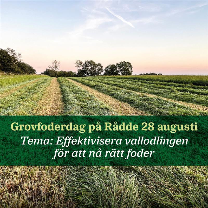 Grovfoderdag på Rådde