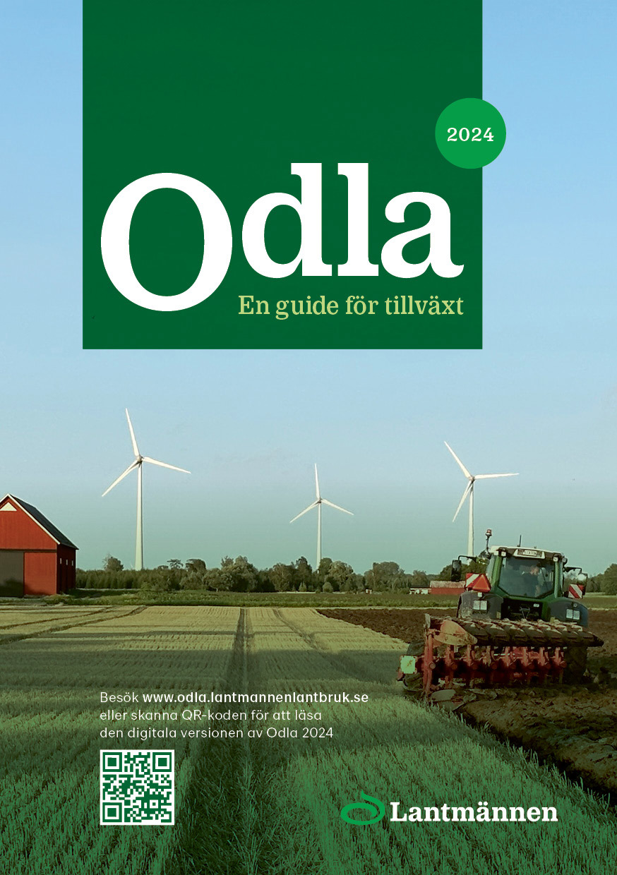 Odla 2024