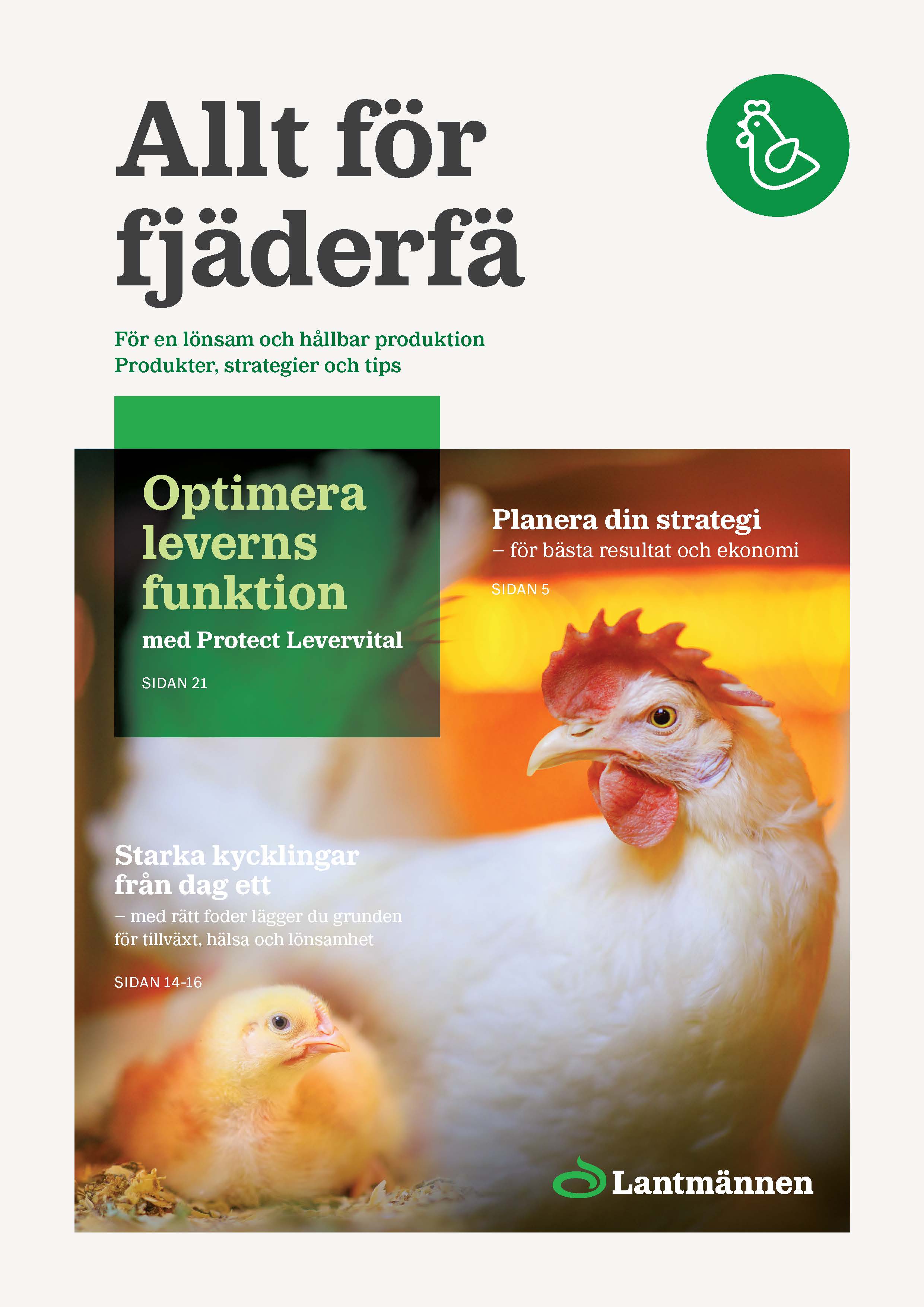 Allt för fjäderfä.pdf