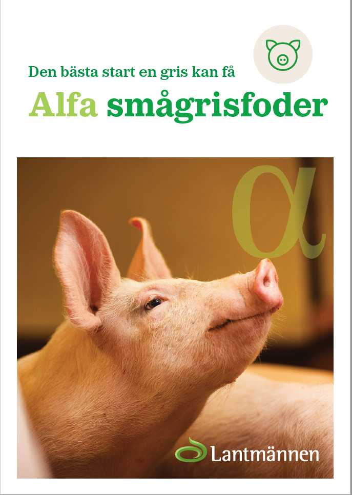 Alfa smågrisfoder broschyr 4 sidor_190412.pdf