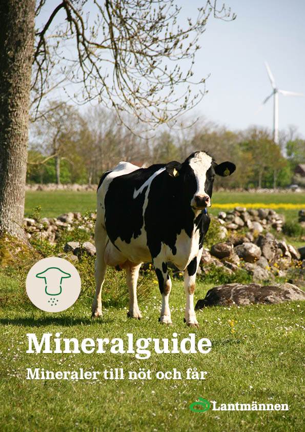 Effektguide-mineraler_till_not_och_far.pdf