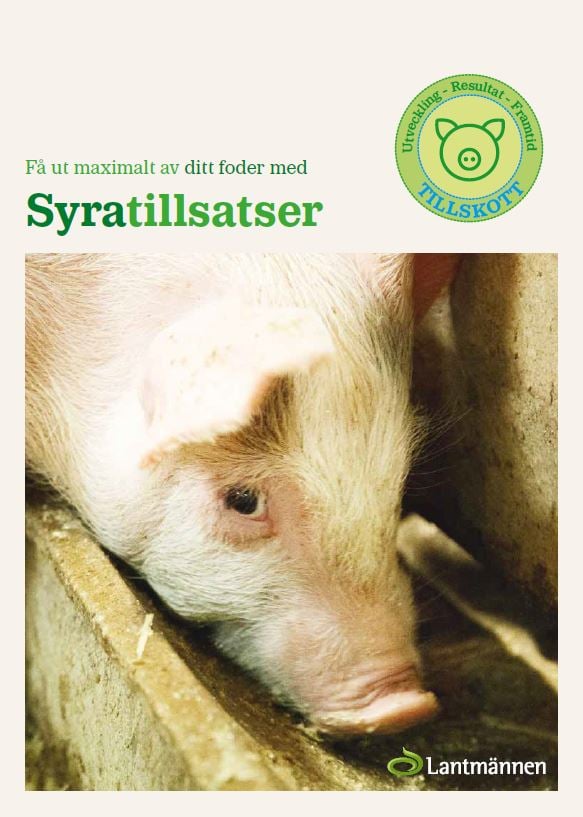 Piggfor syrabroschyr.pdf