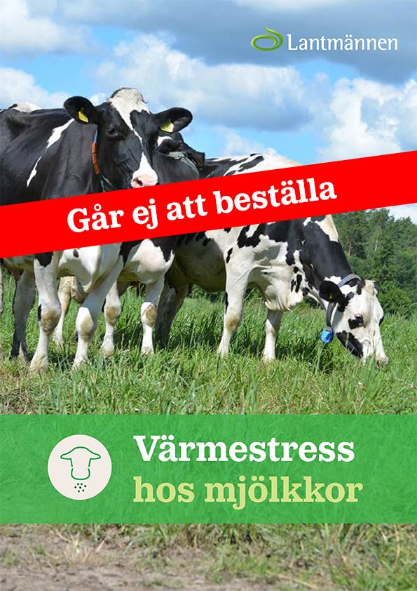 värmestress.pdf