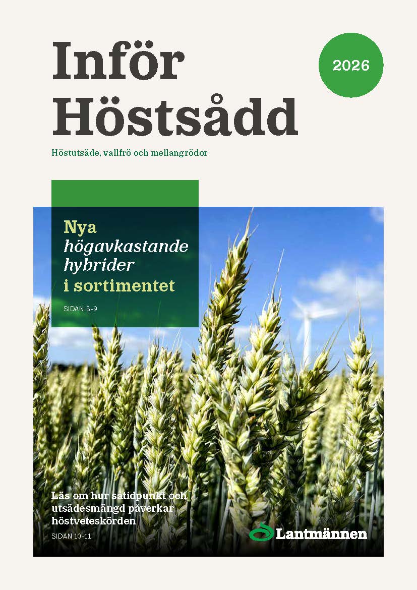 Infor_hostsadd_2026.pdf