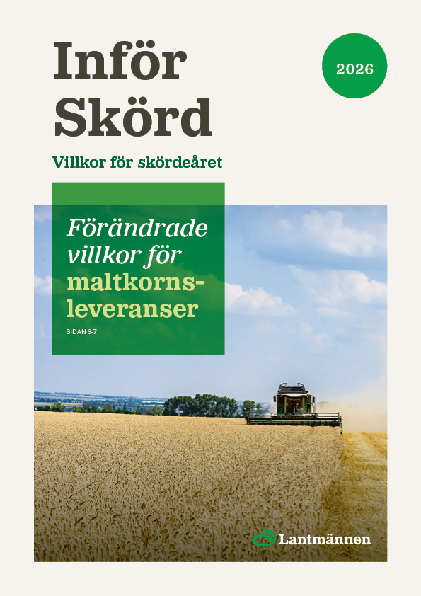 Infor_Skord_2026.pdf