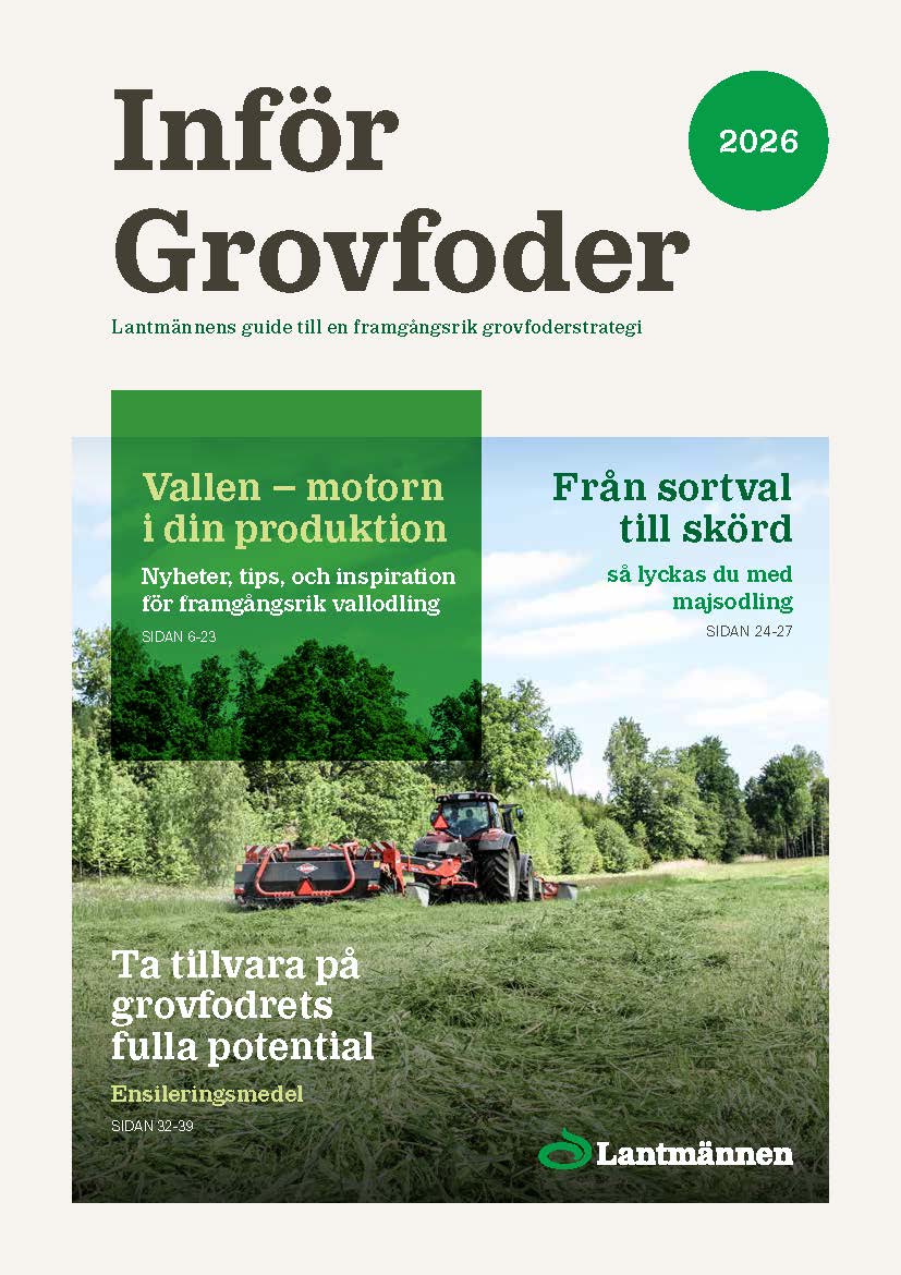 Infor_Grovfoder_2026.pdf