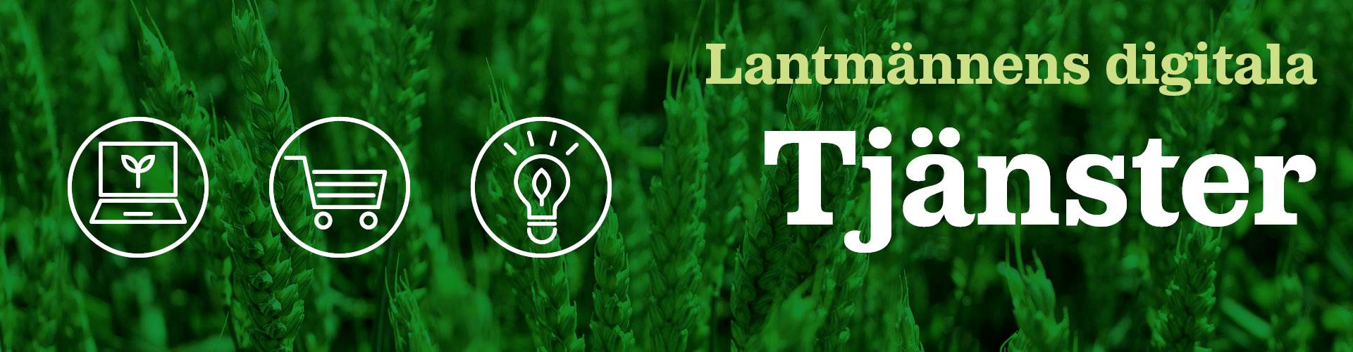 PLAY Digitala tjänster  verktyg