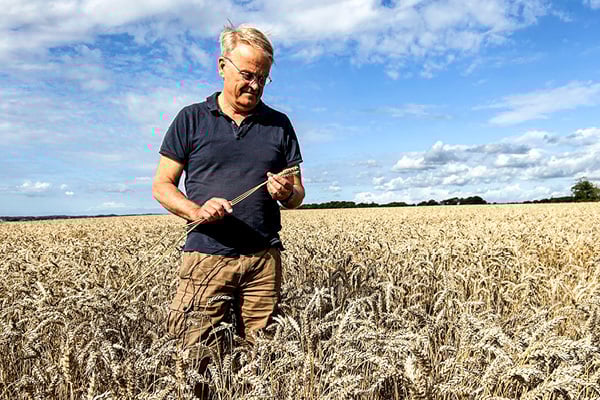 Johan Karlz&eacute;n, Rydsg&aring;rd Gods