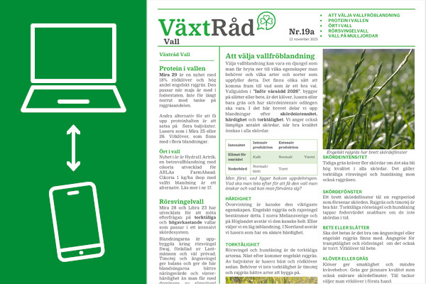 VäxtRåd rådgivningsbrev i mobil och dator