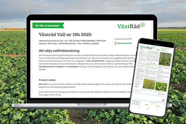 V&auml;xtodlingsbrev 